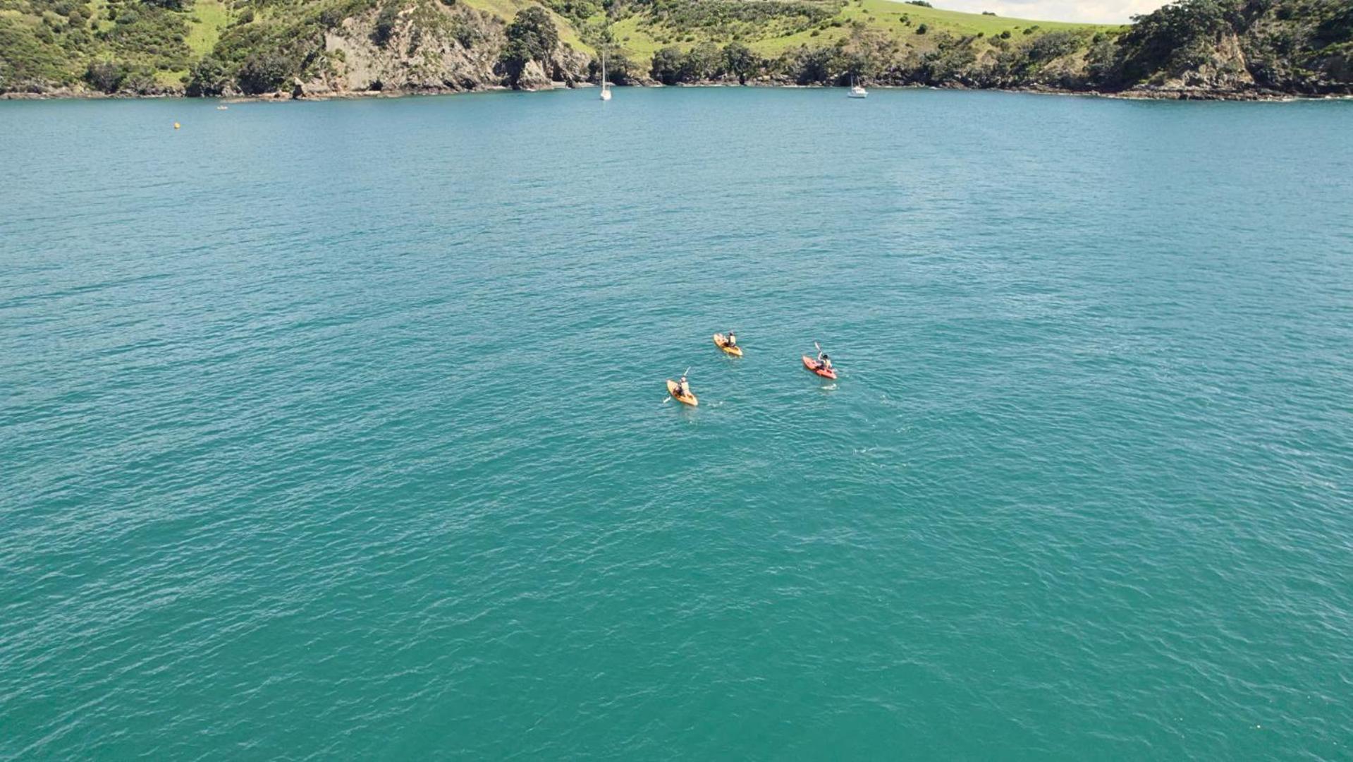 Waiheke Backpackers Hostel Onetangi Dış mekan fotoğraf