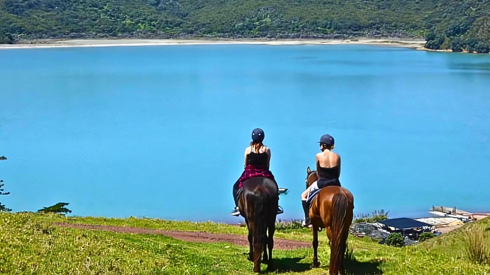Waiheke Backpackers Hostel Onetangi Dış mekan fotoğraf